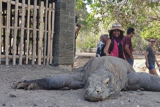 1- day Komodo island Tour hopping around by Speed Boat - A Detailed Look at the Komodo Speedboat Tour