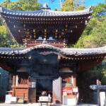 1-Day Miyajima Sightseeing Tour - In-Depth Review of the Miyajima Day Tour