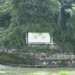 1-Day Mount Qingcheng and Dujiangyan Irrigation System Tour - Who Is This Tour Ideal For?