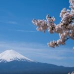 1-Day Mt Fuji and Hakone Sightseeing trip from Tokyo - Transportation and Comfort