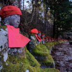 1 Day Nikko Walking Tour, Toshogu and Kanmangafuchi from Tokyo - A Deep Dive Into the Nikko Experience