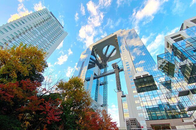 1 Day Osaka Private Tour with English Speaking Guide - Why This Tour Offers Great Value