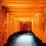 1-Day Osaka to Kyoto: Temples, Castles & Culture Tour - Practical Details and Value Considerations