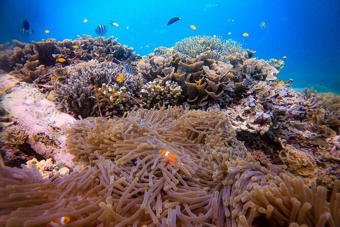 1-day Piaynemo Raja Ampat Tour hopping Island depart from sorong - Who Should Consider This Tour?