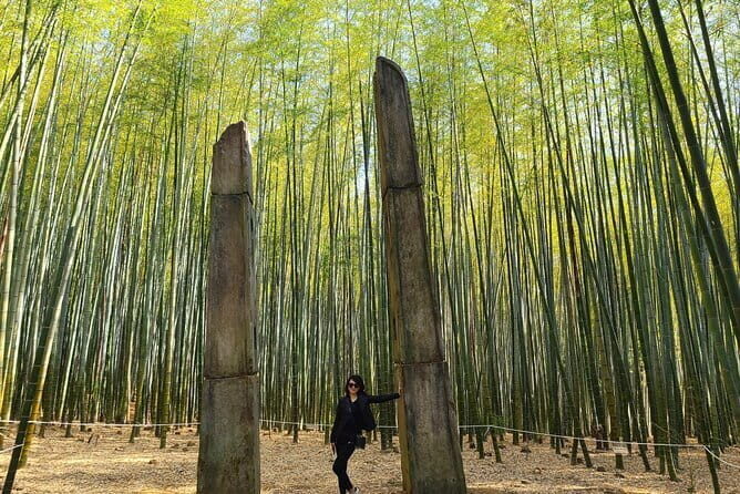 1 Day Private Busan Guided Tour - Authentic Experiences and Personal Touches