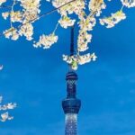 1 Day Private Charter Tokyo Sight Seeing green number plate - Final Thoughts: Who Should Consider This Tour?