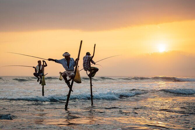 1 Day Private Tour Itinerary for Bentota, Hikkaduwa and Galle - Who Should Book This Tour?