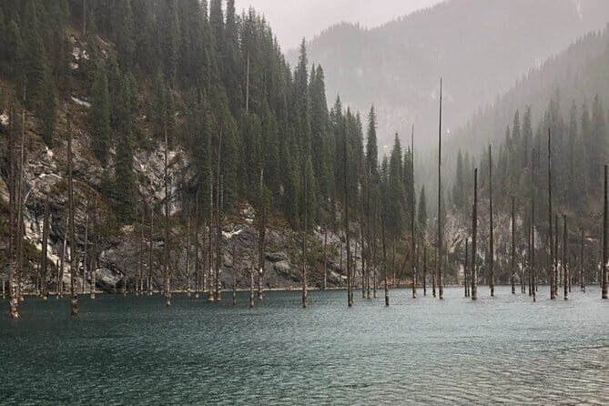 1 Day Private Tour to Charyn Canyon, Kolsay and Kaiyndy - Final Thoughts