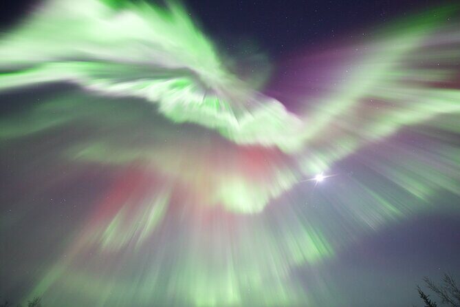 1 Day Shared Tour Arctic Circle and Aurora Viewing in Alaska - Who Will Love This Tour?