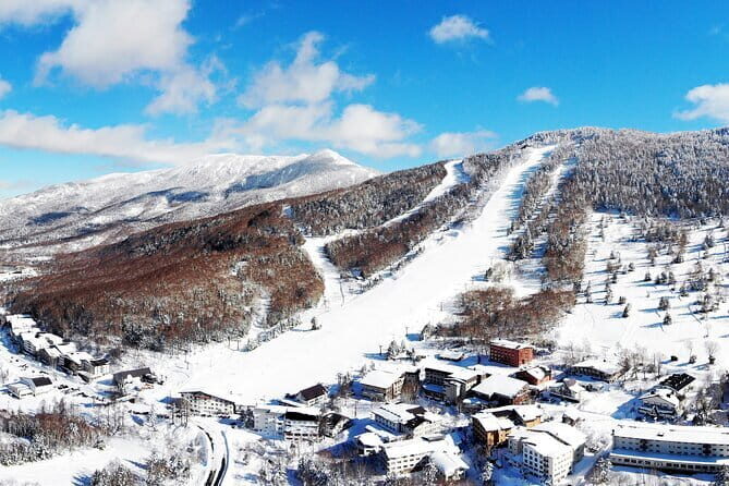 1 Day Ski Tour Package Easy Departure from Nagano Station - The Itinerary: How the Day Unfolds