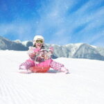 1 Day Tour Traditional Igloo Kamakura Festival and Snow Fun - Who Will Love This Tour?