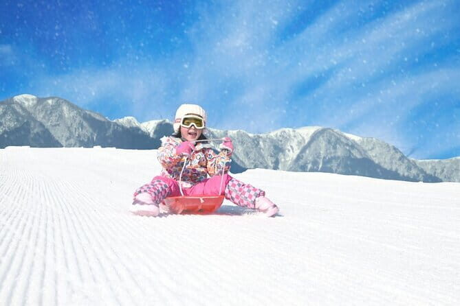 1 Day Tour Traditional Igloo Kamakura Festival and Snow Fun - Who Will Love This Tour?