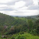 1 Day Trekking Group Tour With Bamboo Cooking / Chiang Rai - FAQ