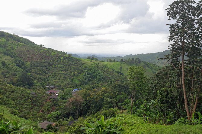1 Day Trekking Group Tour With Bamboo Cooking / Chiang Rai - FAQ