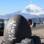 1-Day trip: Hakone Area + Gotemba Premium Outlets - The Practical Side: Transportation, Pricing, and Flexibility