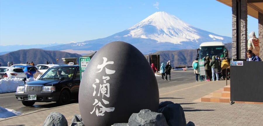 1-Day trip: Hakone Area + Gotemba Premium Outlets - The Practical Side: Transportation, Pricing, and Flexibility
