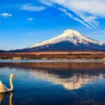 1-Day trip: Mt Fuji + Kawaguchi Lake area - A Deep Dive into the Experience