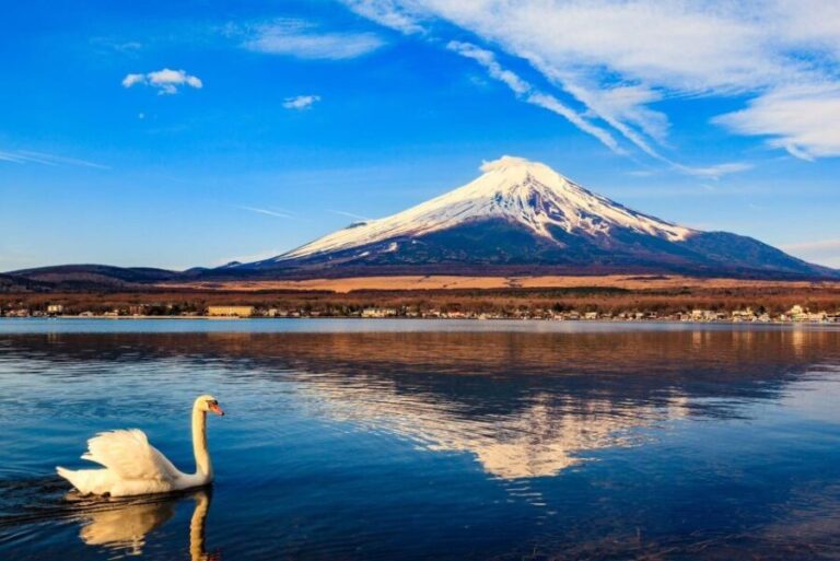1-Day trip: Mt Fuji + Kawaguchi Lake area - A Deep Dive into the Experience