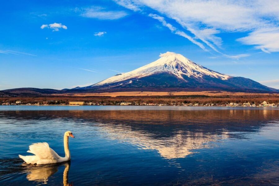1-Day trip: Mt Fuji + Kawaguchi Lake area - A Deep Dive into the Experience