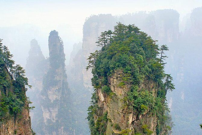 1 Day Trip to Zhangjiajie National Forest Park & Avatar Mountain - What Reviewers Say About Their Experience