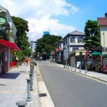 1-Day Walking Tour around Kobe : Mountains, Sea and Sake - Practical Details and Tips