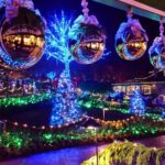 1 hour City Tour & Butchart Gardens: Christmas - Entry included! - Why This Tour Offers Great Value