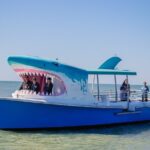1-hour Dolphin Sightseeing Adventure Cruise from Madeira Beach - The Value Equation: Price, Duration, and Experience