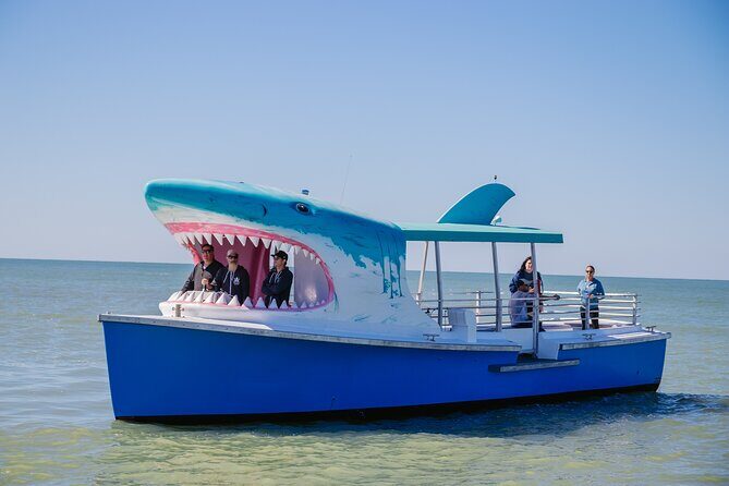 1-hour Dolphin Sightseeing Adventure Cruise from Madeira Beach - The Value Equation: Price, Duration, and Experience