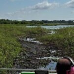 1 Hour Everglades Airboat Tour Central Florida - The Experience in Detail: What to Expect from the Tour