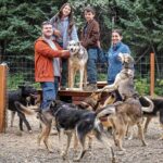 1 Hour Fall Sled Dog Experience in Two Rivers - FAQ