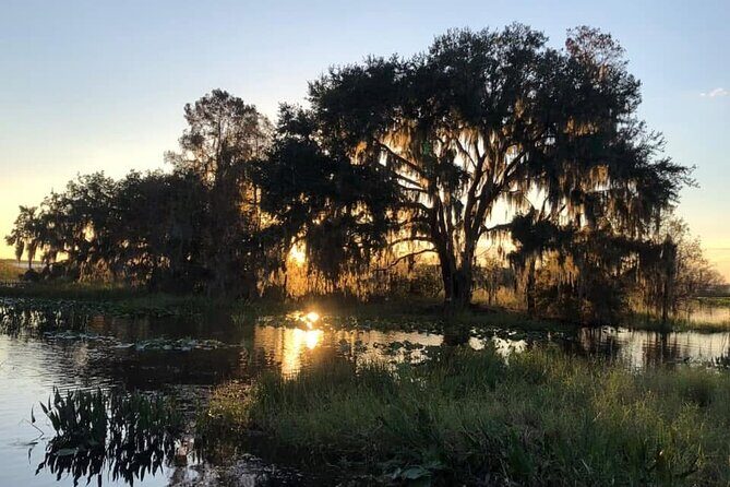 1 Hour Florida Everglades Wildlife Tour - In-Depth Look at the Itinerary
