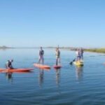 1 Hour Guided SUP/Kayak Tour in Pelican Bay at Fort Myers Beach - The Sum Up: Who Should Book This Tour?