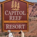 1-Hour Llama Hike Family Friendly and Fun - An In-Depth Look at the 1-Hour Llama Hike Experience