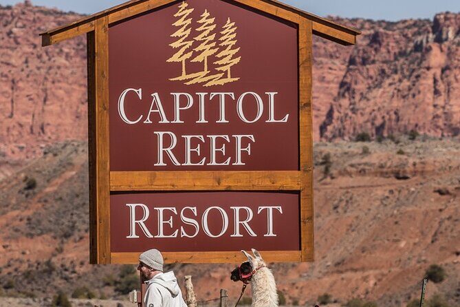 1-Hour Llama Hike Family Friendly and Fun - An In-Depth Look at the 1-Hour Llama Hike Experience