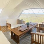 1 Hour Private Vineyard Dome Experience in Niagara-on-the-Lake - The Experience in Detail: What You Can Expect