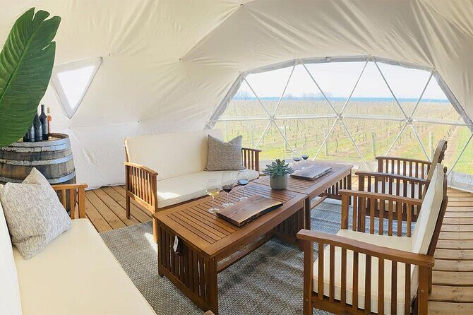 1 Hour Private Vineyard Dome Experience in Niagara-on-the-Lake - The Experience in Detail: What You Can Expect