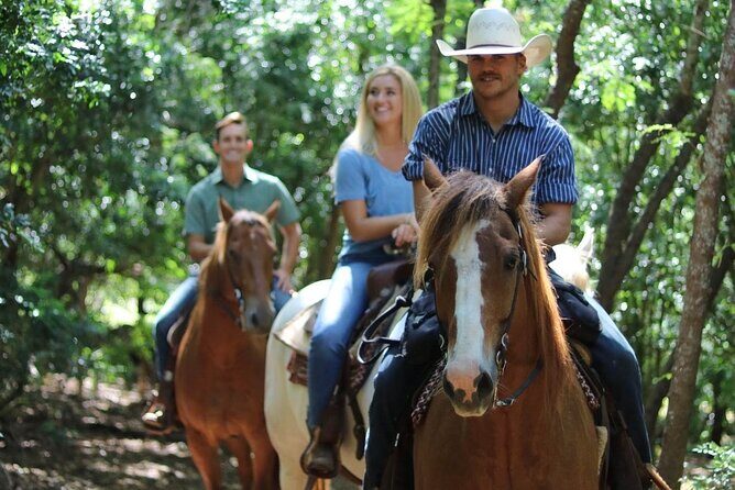 1 Hour Scenic Horseback Ride - In-Depth Review of the 1-Hour Scenic Horseback Ride