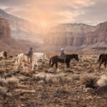 1-Hour Western Horse Ride - A Closer Look at the 1-Hour Western Horse Ride Experience