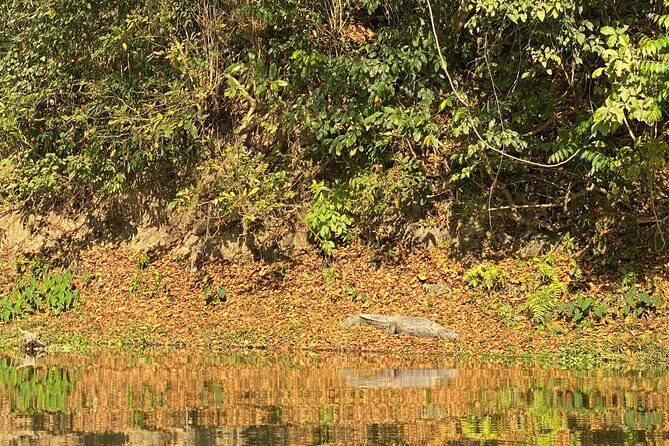1 Night 2 Days Chitwan Jungle Safari Tour from Pokhara or Kathmandu - Who Should Consider This Tour?