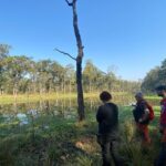 1 Night 2 Days Chitwan Safari Tour - Day 2: Birdwatching and Departure