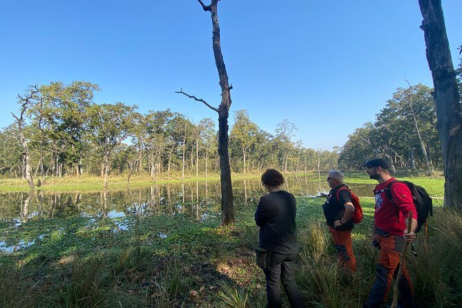 1 Night 2 Days Chitwan Safari Tour - Day 2: Birdwatching and Departure