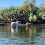 1 Person Inflatable Kayak Full-Day Rental - Transporting is required - Who Will Love This Tour?
