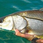 #1 Recommended Family Friendly Guided Fishing Charter Service - Who Should Consider This Experience?