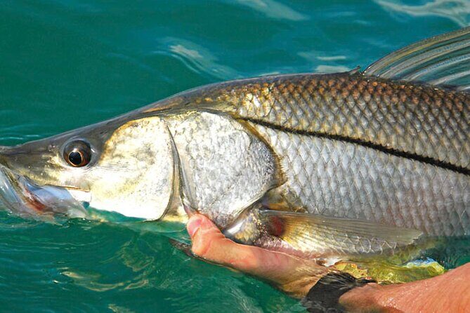 #1 Recommended Family Friendly Guided Fishing Charter Service - Who Should Consider This Experience?