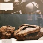 #1 Smithsonian Museum of Natural History | Satisfaction Guarantee - The Sum Up: Is This Tour Right for You?