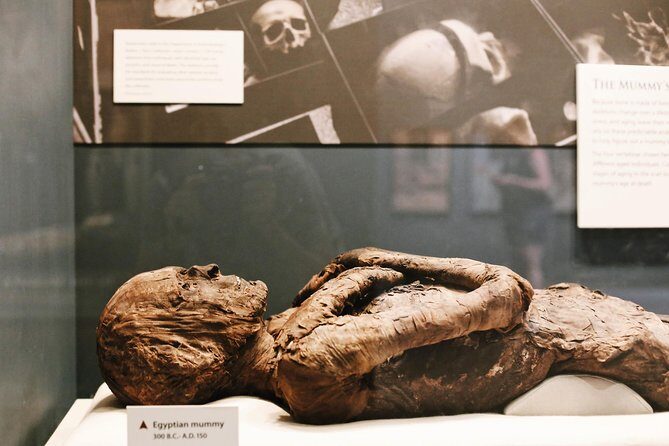 #1 Smithsonian Museum of Natural History | Satisfaction Guarantee - The Sum Up: Is This Tour Right for You?