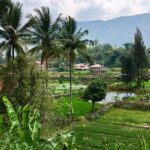 1 week private round trip North Sumatra - Who Will Love This Tour?
