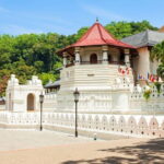 10 Days/ 9 Nights - Heritage Wildlife and Waves in Sri Lanka - A Detailed Breakdown of the Itinerary and What to Expect