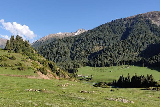 10-Hour Private SUV Tour Along the Grigorievsky and Semenovsky Gorges - Who Should Consider This Tour?