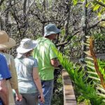 10,000 Islands Boat Tour + Naturalist Led Walk in the Everglades! - Why This Tour Offers Great Value
